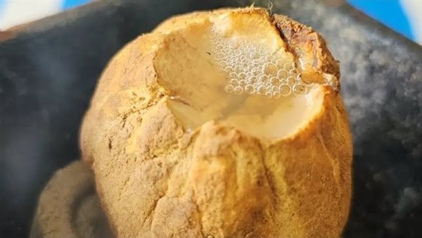 فوائد الفقع