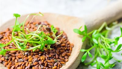 فوائد الرشاد خاصة للمرأة.. منظّم للدورة الشهرية ويحمي الجنين من العيوب الخلقية