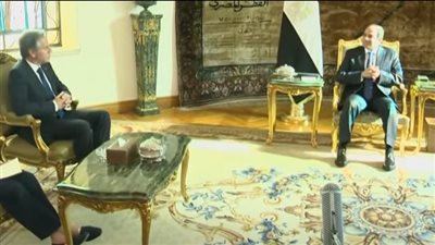 متحدث الرئاسة: حوار الرئيس السيسي بشأن فلسطين يخاطب الوطن العربي