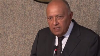 وزير الخارجية: تهجير الفلسطينيين مرفوض.. وهناك ضغوط على دول الجوار بشأنه وليس مصر فقط 