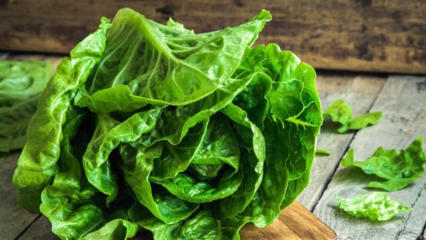 فوائد الخس للشعر..