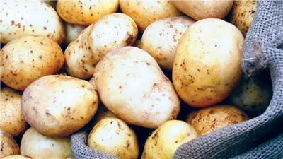 الكيلو بـ25 جنيها.. نقيب الفلاحين: ارتفاع كبير لأسعار البطاطس في الأسواق ووقف التصدير ليس الحل 