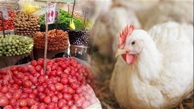 الطماطم بـ 8 والفراخ بـ 75 جنيها.. أسعار الخضراوات والدواجن اليوم بالأسواق| بث مباشر 