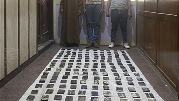  عناصر إجرامية بالإسكندرية