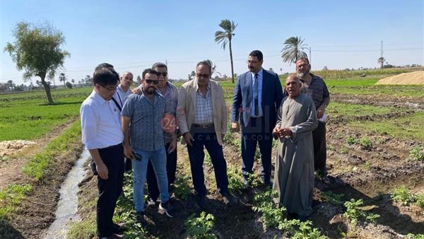 زراعة المنيا 