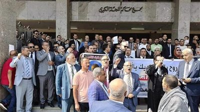 محامو المحلة ينظمون وقفة تضامنية لدعم القضية الفلسطينية 