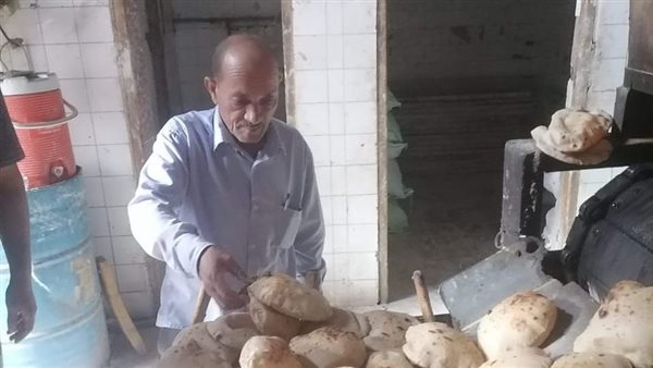 حملات تفتيشية بالمنيا