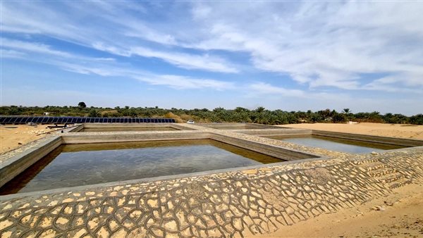 تطوير واحة سيوة 