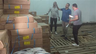 ضبط 5 أطنان سمك ماكريل منتهي الصلاحية داخل ثلاجة في البحيرة