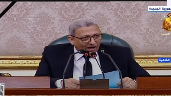 وكيل مجلس النواب