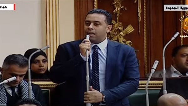 النائب أحمد فرغلي