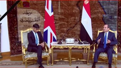 السيسي يحذر رئيس الوزراء البريطاني من انزلاق المنطقة إلى حرب إقليمية يكون تأثيرها مدمرًا