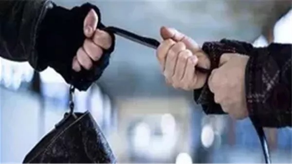 سرقة حقائب - تعبيرية