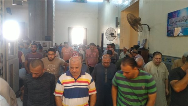 المئات بالمنوفية