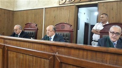 بسبب 3500 دولار.. إحالة أوراق سائق توكتوك قتل شابا لسرقته بكفر الشيخ لفضيلة المفتي