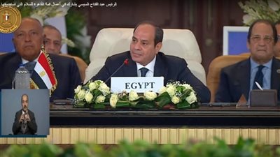 السيسي: شعوب العالم تترقب موقفنا في هذه اللحظة التاريخية الدقيقة