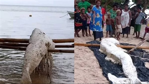 ظهور مخلوق غامض يشبه