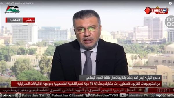 عمرو الليثي 