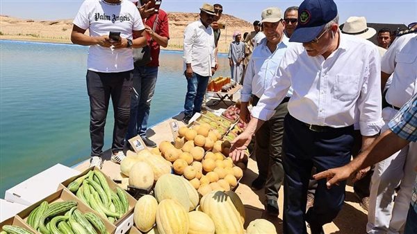 صحراء سيناء تتحول