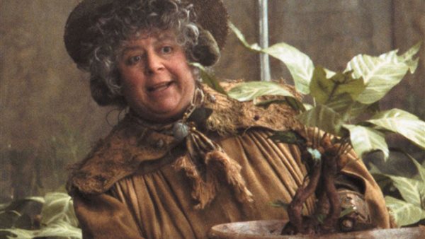 ميريام مارغويلز