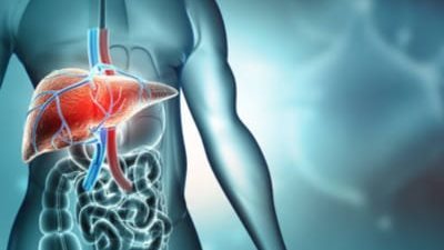 بسبب التعرض لسموم تسبب سرطان الكبد..أفضل أعشاب يمكن تناولها لتنظيفه 