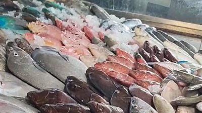 أسعار الأسماك اليوم السبت 13 يناير 2024 في الأسواق