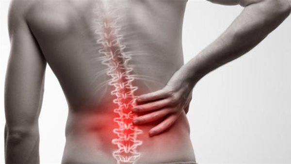  العمود الفقري