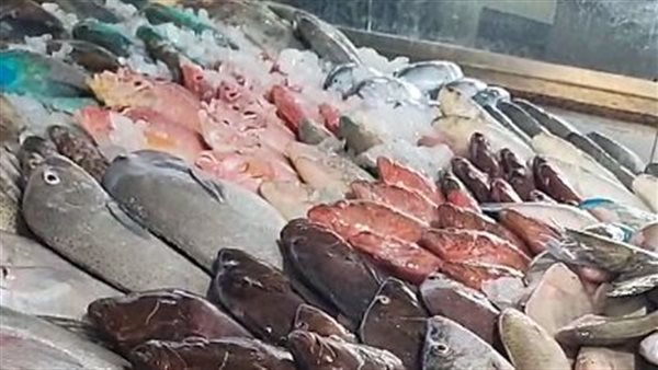 أسعار الأسماك