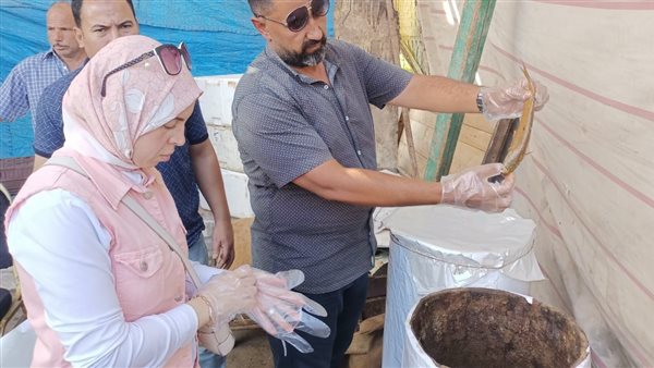 حملات رقابية علي