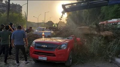 تفاصيل سقوط شجرة كبيرة على سيارتين بأسيوط.. ومصرع شخص بداخل سيارته | بث مباشر 