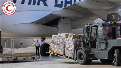 وصول طائرة مساعدات إنسانية من البحرين لدعم أهالي غزة