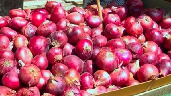 اسباب ارتفاع اسعار