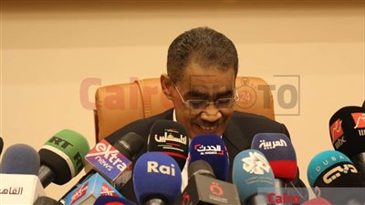 ضياء رشوان: مصر ترى دائمًا أن حل القضية الفلسطينية يتمثل في حل الدولتين وإيقاف الانتهاكات الإسرائيلية