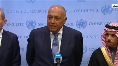 وزير الخارجية: نرفض جرائم الحرب المتعلقة بتهجير الفلسطينيين ونطالب بوقف إطلاق نار فوري