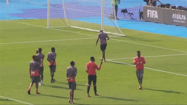 سيمبا التنزاني 