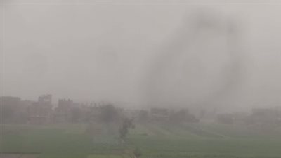 شبورة مائية كثيفة على الطرق الزراعية والمفتوحة بالمنوفية| بث مباشر 