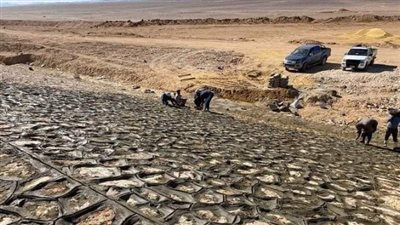 استعدادًا لفصل الشتاء.. لجنة للمرور على السدود والبحيرات الصناعية بالغردقة ورأس غارب| بث مباشر 