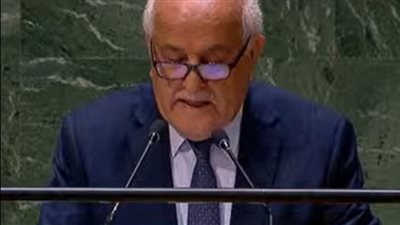 مندوب فلسطين بالأمم المتحدة: الموت مستمر وأعداد الشهداء بلغ 7000 بينهم 3000 صغير 