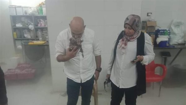 ضبط 240 كجم دواجن