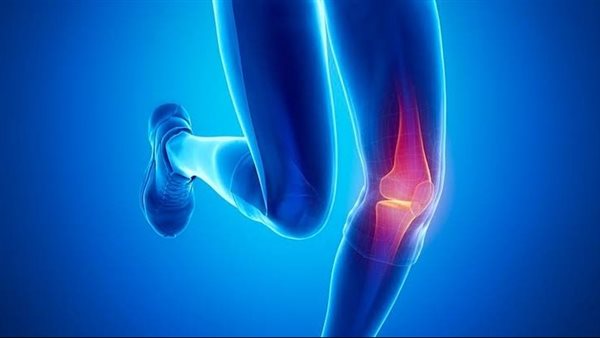 الرباط الصليبي -