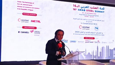 أحمد عز: 17 مليون طن الطاقة الإنتاجية للصلب الخام في مصر سنويا