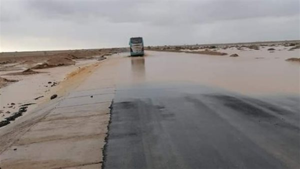 سيول مرسى علم 