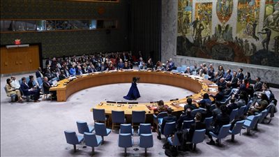 الإمارات تدعو لهدنة إنسانية فورية في غزة بمجلس الأمن اليوم