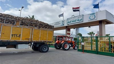 الرقابة المالية تعتمد تعديلات لائحة النظام الأساسي للعاملين بالدلتا للسكر