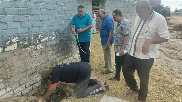 جانب من الحملات 