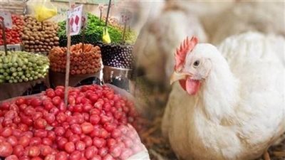 البانيه بـ 170 جنيها والبصل بـ 25.. أسعار الخضراوات والدواجن اليوم في الأسواق| بث مباشر 