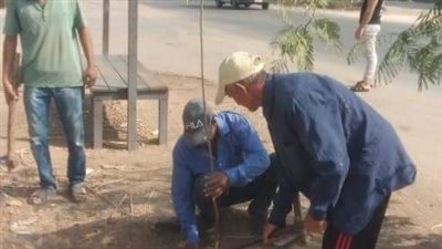 زراعة 212 شجرة مثمرة وزينة ضمن مبادرة 100 مليون شجرة بالمنيا