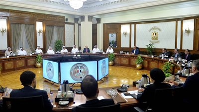 وزير الاستثمار الإماراتي: توجيهات من الشيخ محمد بن زايد بالتعاون مع مصر وزيادة الاستثمارات