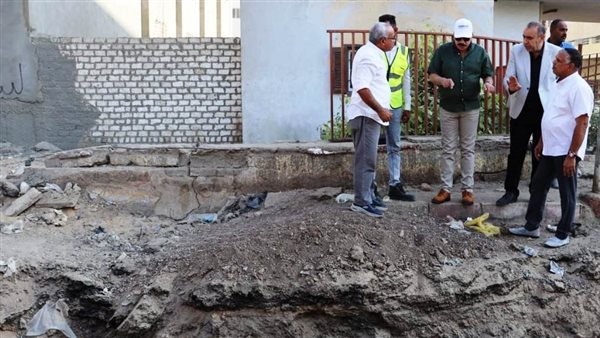 محافظ أسوان