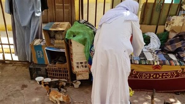 عم بكرى يعيش بين